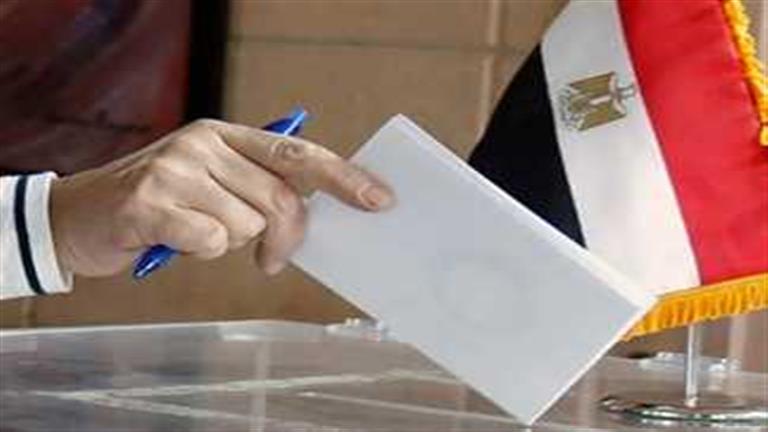 بدء الانتخابات الرئاسية الجمعة المقبلة باقتراع المصريين بالخارج في 121 دولة
