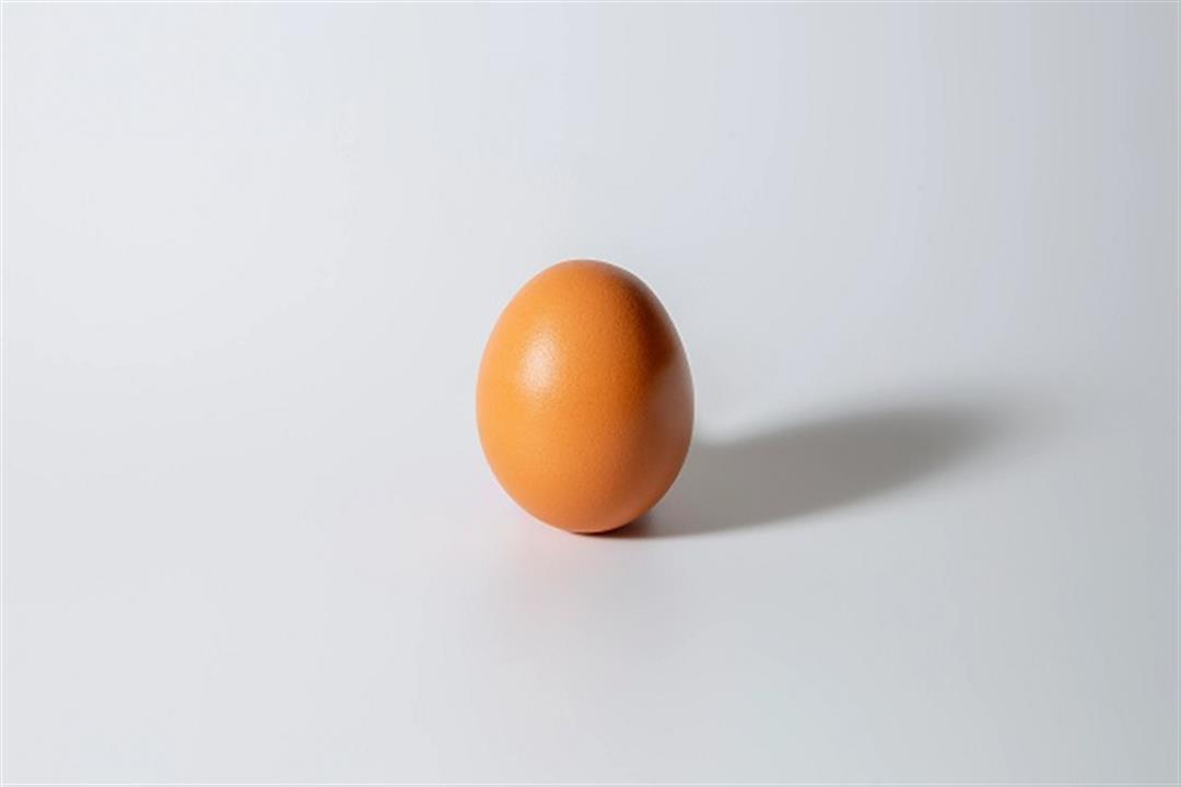 رغم فوائده- 4 أمراض قد تمنعك من تناول البيض 