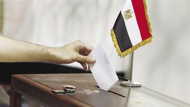 الإقبال كثيف.. عمليات "الهجرة" تتابع تصويت المصريين بالخارج في الانتخابات الرئاسية 