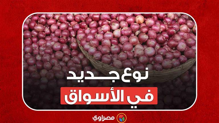 سعر البصل وصل 40 جنيها.. والحكومة تمنع تصديره وظهور نوع جديد في الأسواق