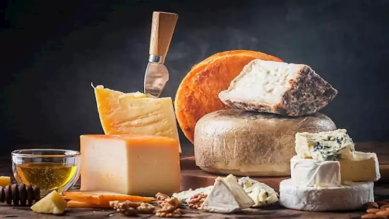 طرق تخزين الجبن للحفاظ على نكهته وجودته