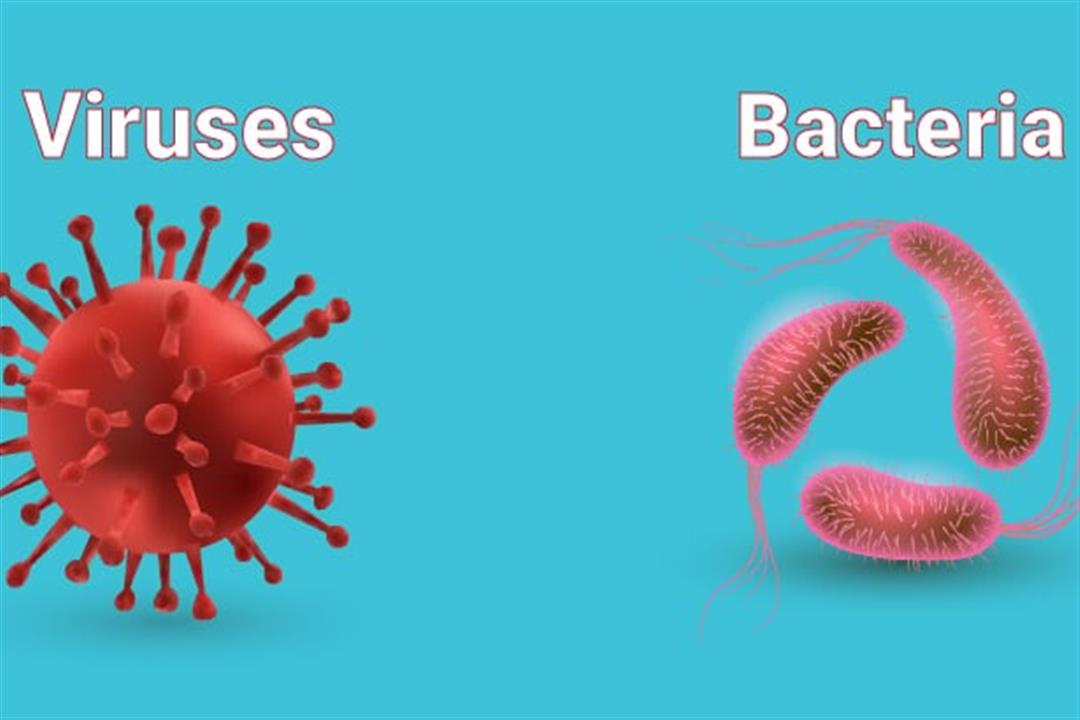 البكتيريا Vs الفيروسات- أيهما أخطر على صحتك؟