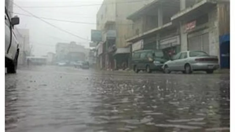 صورة الخبر