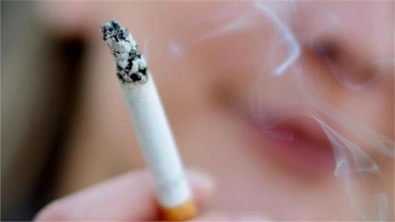 شعبة الدخان: المصريين يدخنون 85 مليار سيجارة سنويًا