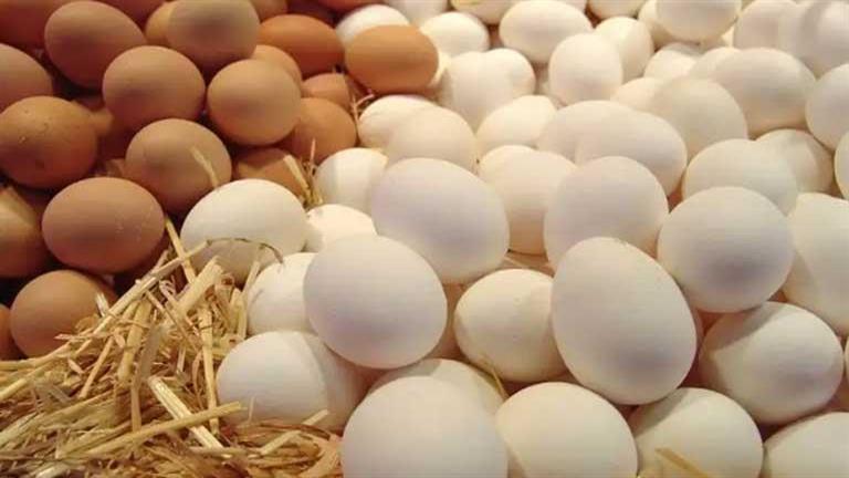  أسعار البيض تنخفض اليوم الاثنين في الأسواق (موقع رسمي)