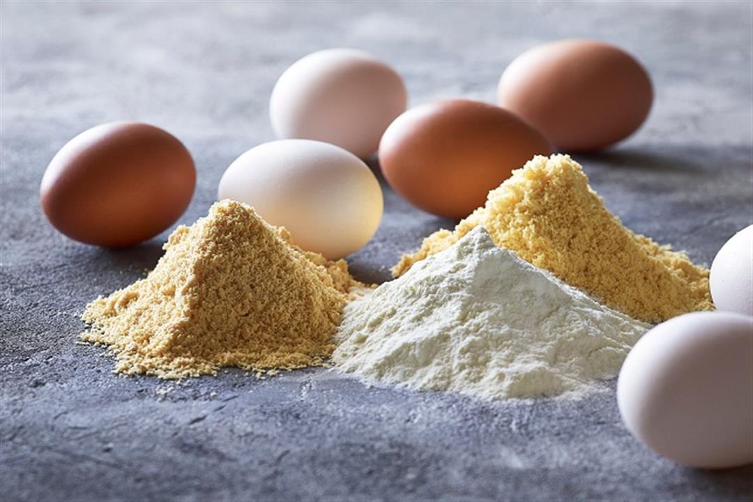 البيض البودرة Vs العادي- أيهما أكثر فائدة للجسم؟