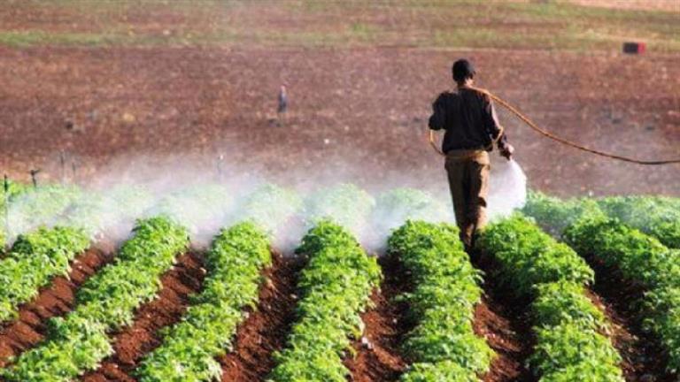 متحدث الزراعة: دعم الدولة للمزارعين ينعكس إيجابيًا على الأمن الغذائي المصري
