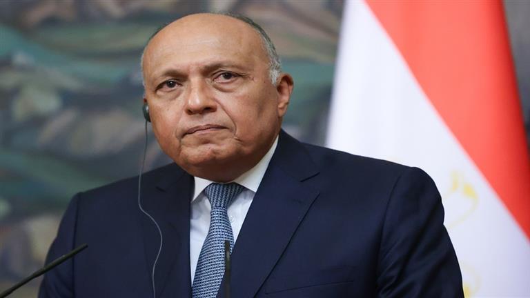 وزير الخارجية: حان الوقت لتزكية العمل السياسي العربي كمنهج للجامعة العربية
