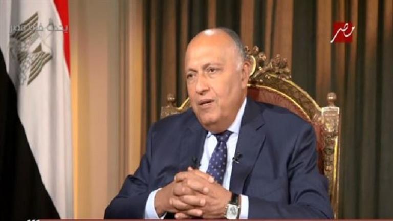 وزير الخارجية: العلاقات المصرية الأمريكية تتسم بقدر من التفاعل والتفاهم