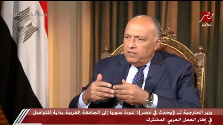 وزير الخارجية: عودة سوريا للجامعة العربية بداية للتواصل في إطار العمل العربي المشترك
