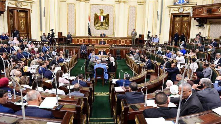 برلماني: قانون تقنين واسترداد أراضي الدولة سيوقف المتعدين عن ارتكاب المخالفات