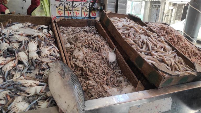  أسعار الأسماك والمأكولات البحرية اليوم الخميس في سوق العبور