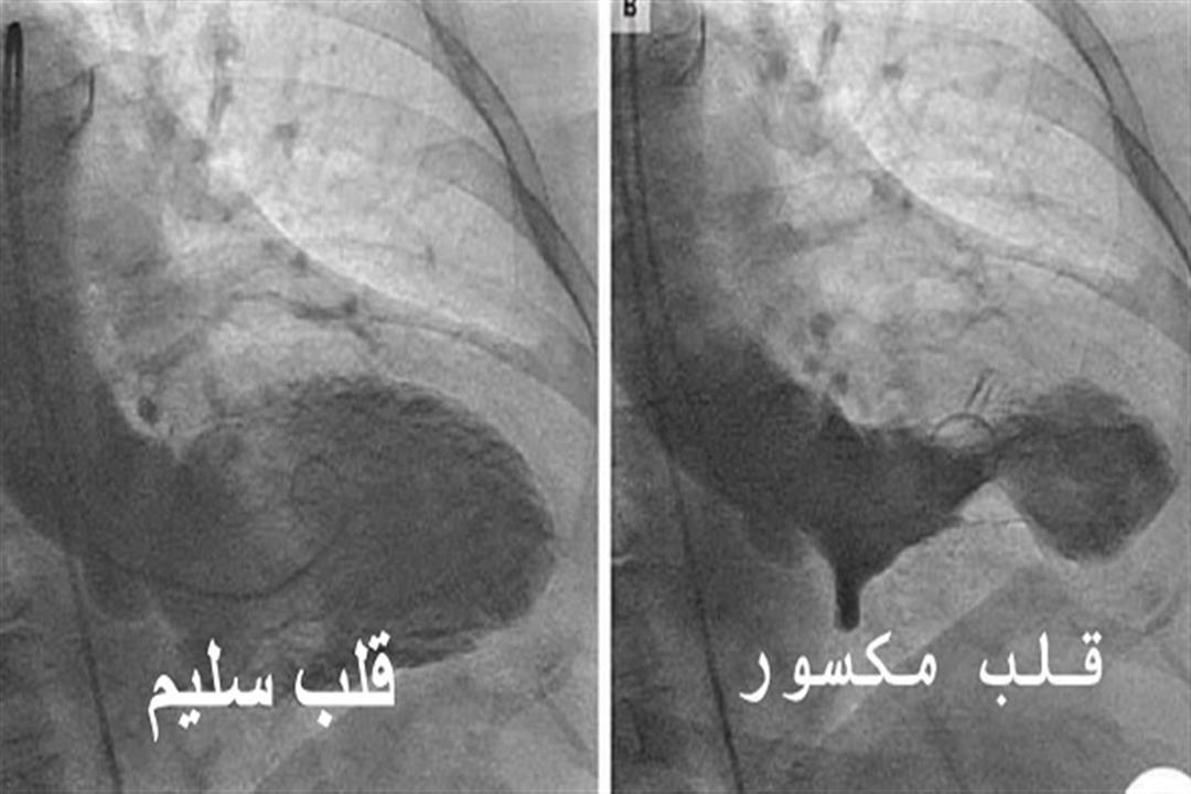 344801833_778774347137936_8587615392479591813_n