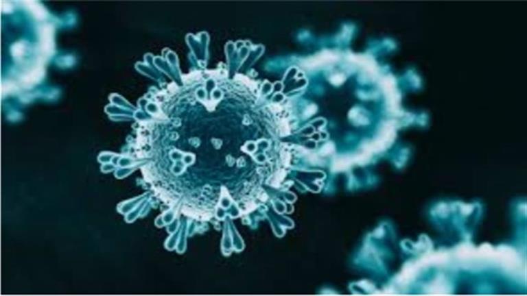 تحذيرات من فيروس خطير- هل سيواجه العالم وباءً جديدًا؟