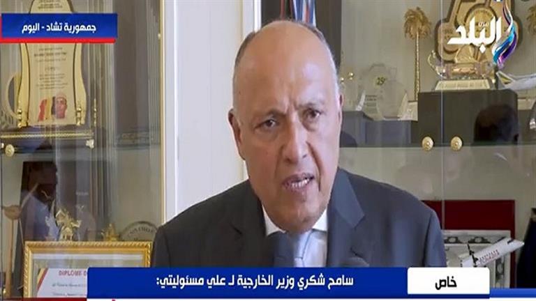 "أمر غير وارد".. وزير الخارجية عن لجوء مصر لمجلس الأمن بشأن ملف سد النهضة