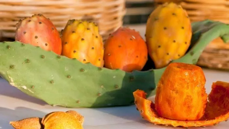 دراسة حديثة تكشف .. فوائد غير متوقعة للتين الشوكي لصحة الجسم 