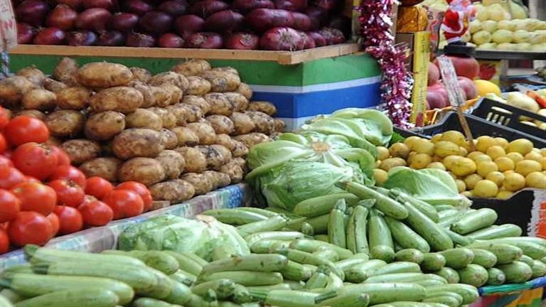 الزراعة: 23 مليون طن حجم إنتاج مصر من الخضروات
