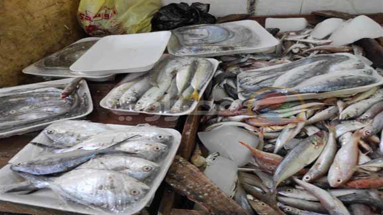 أسعار الأسماك والمأكولات البحرية في سوق العبور اليوم الاثنين