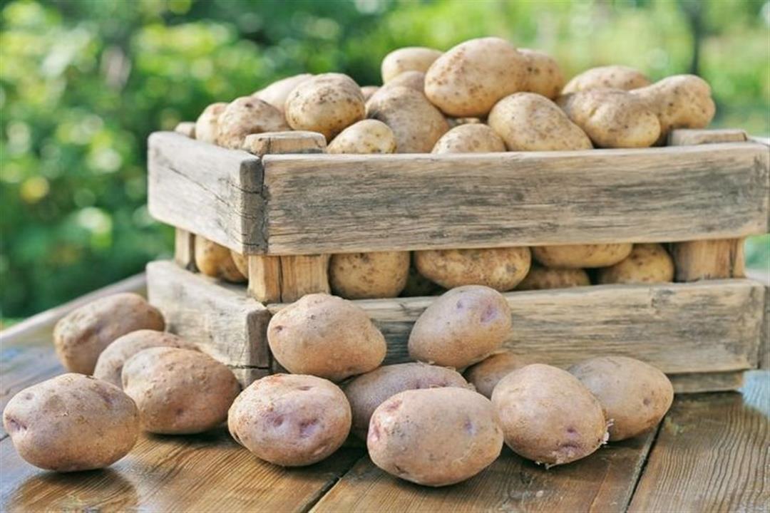 لمحبي البطاطس- 4 أخطاء تقلل من فوائدها