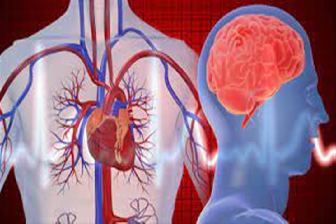 بالأعراض- كيف تفرق بين النوبة القلبية والسكتة الدماغية؟