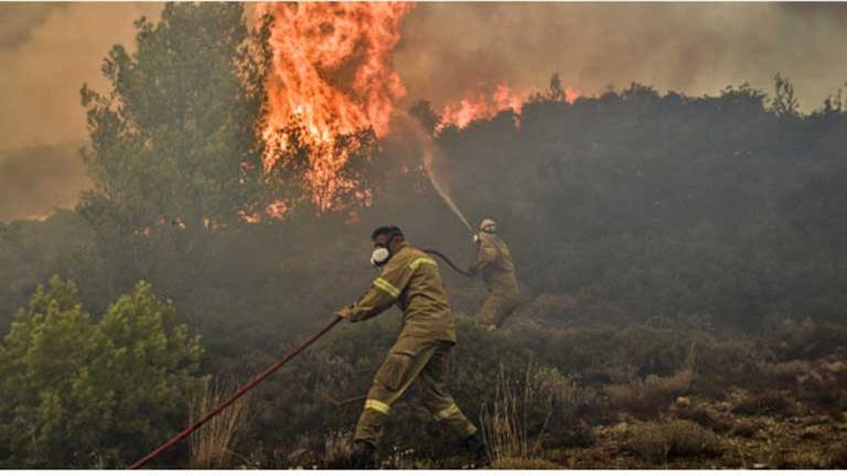 اشتعال النيران في أكثر من مليون هكتار جراء حرائق الغابات بسيبيريا