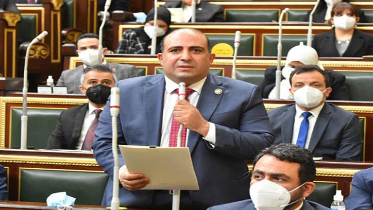 برلمانى يصف دعوات مقاطعة الإنتخابات الرئاسية بالفاشلة