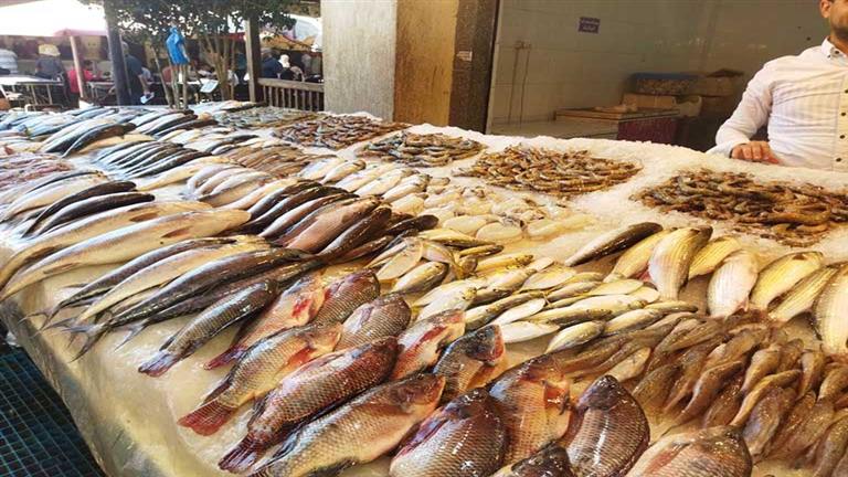ارتفاع البلطي.. أسعار الأسماك اليوم الأربعاء في سوق العبور