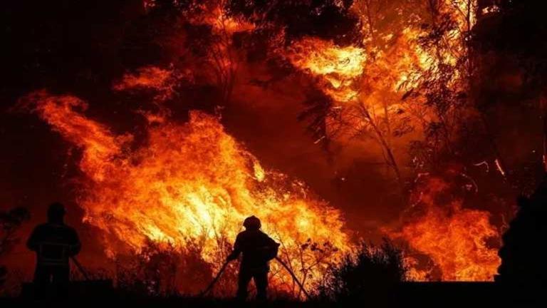 التشيك تفرض حظرًا على إشعال الحرائق مخافة انتشار حرائق الغابات