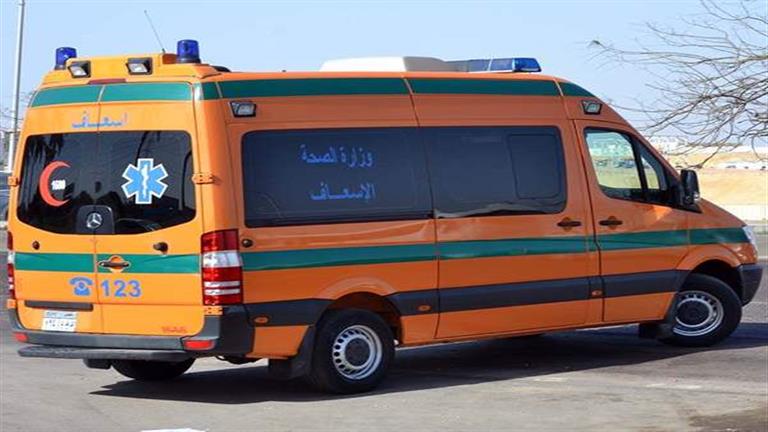 بالأسماء.. مصرع طفلة وإصابة 21 آخرين في انقلاب سيارة على صحراوي المنيا