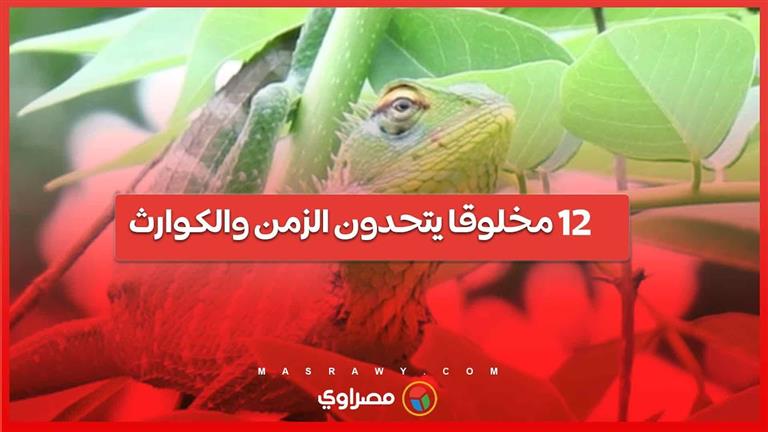 12 مخلوقا يتحدون الزمن والكوارث عبر ملايين السنين.. ما هى؟