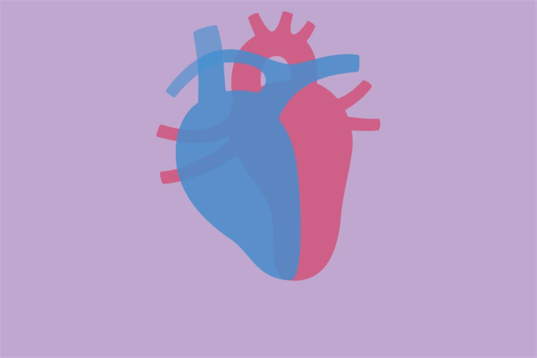 في 8 خطوات- طبيب يوضح كيفية الوقاية من أمراض القلب "فيديو"