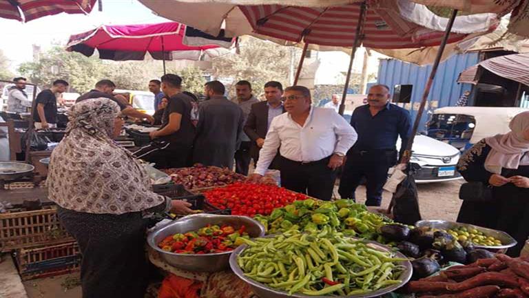 بالصور.. محافظ الدقهلية يجرى جولة مفاجئة بمنية النصر