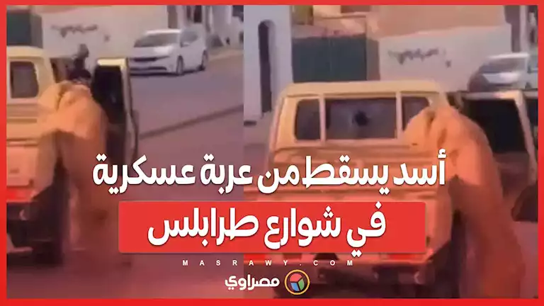 طرابلس تشهد حادثًا مروعًا.. أسد يسقط من عربة عسكرية في مكان عام