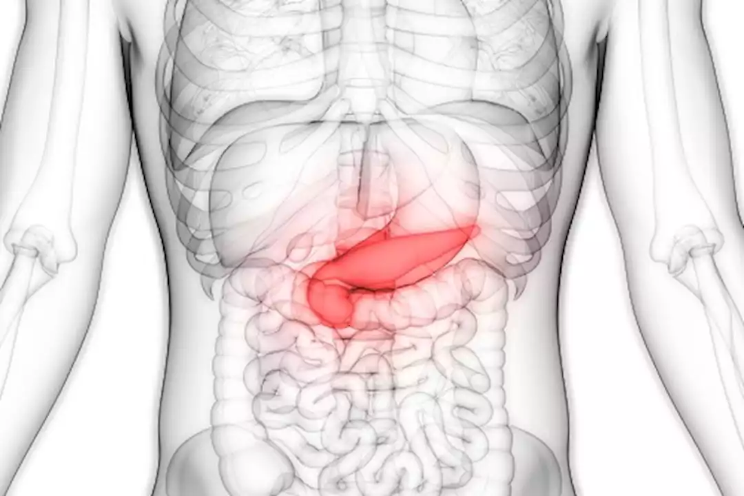 طبيبة تحذر: هذه العادات تدمر البنكرياس