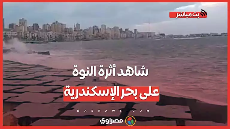 اقتلعت أشجار ومنشآت.. شاهد أثرة النوة على بحر الإسكندرية