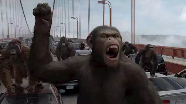 على طريقة فيلم "Rise of the Planet of the Apes".. هروب قردة من معمل أبحاث في أمريكا 