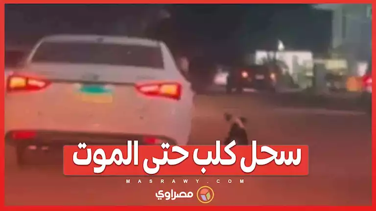 مقطع فيديو صادم... سحل كلب في شوارع الجيزة حتى الموت