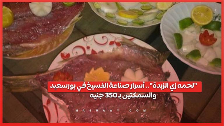 "لحمه زي الزبدة".. أسرار صناعة الفسيخ في بورسعيد والسمكتين بـ 350 جنيه
