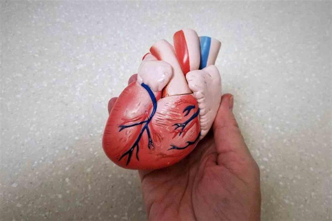 في 4 خطوات- دليلك لتنظيف القلب والأوعية الدموية