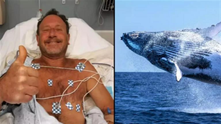 Humpback Whale Swallows Diver Alive: Incredible Survival Story