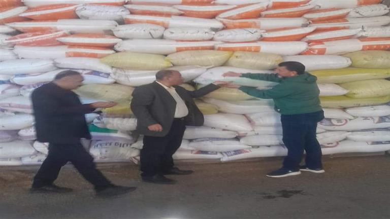 بالصور- توريد 80 طنًا من محصول القمح للشون والصوامع في بورسعيد 