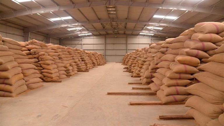 تموين الإسكندرية: توريد 5 آلاف طن قمح للصوامع في موسم الحصاد