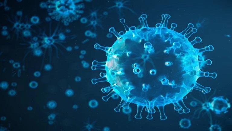 شانديبورا.. ظهور فيروس قاتل جديد يهدد الهند والعالم 