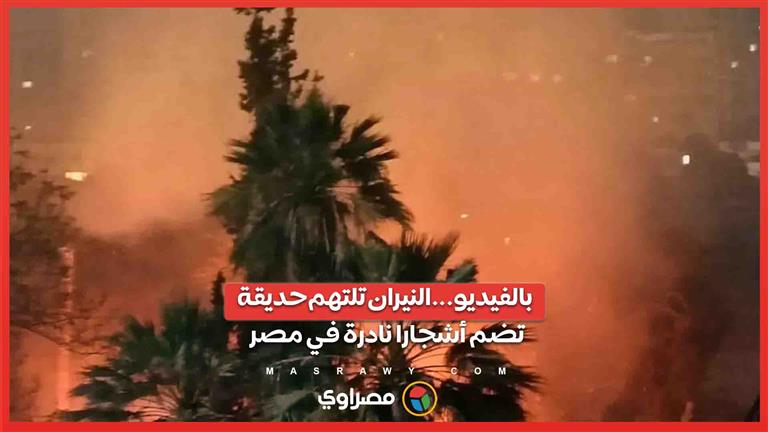 بالفيديو...النيران تلتهم حديقة تضم أشجارا نادرة في مصر