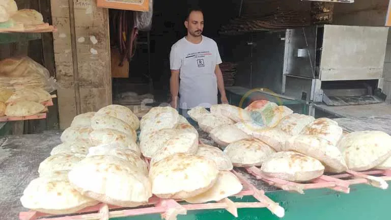 صورة الخبر