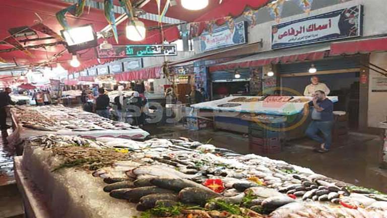مقاطعة الأسماك تتمدد للمحافظات.. ودعوات لتطبيقها في القاهرة (تغطية خاصة)