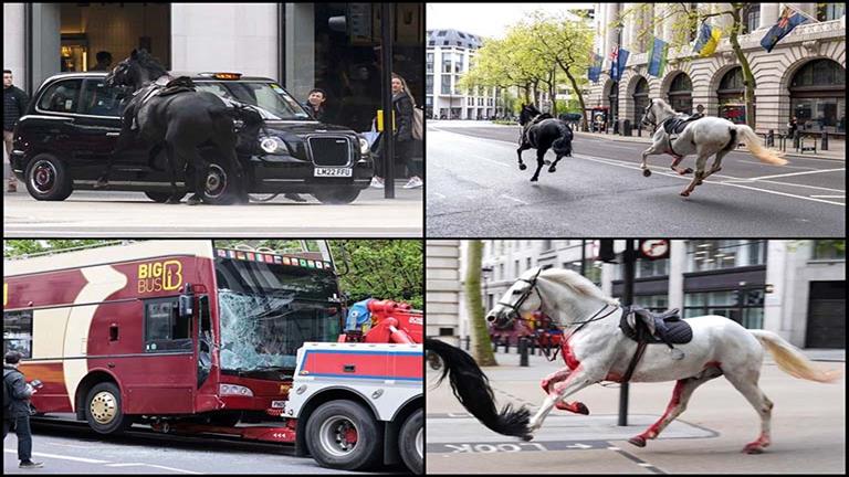  سقوط إصابات أثناء هروب خيول عسكرية وسط لندن (صور- فيديو)