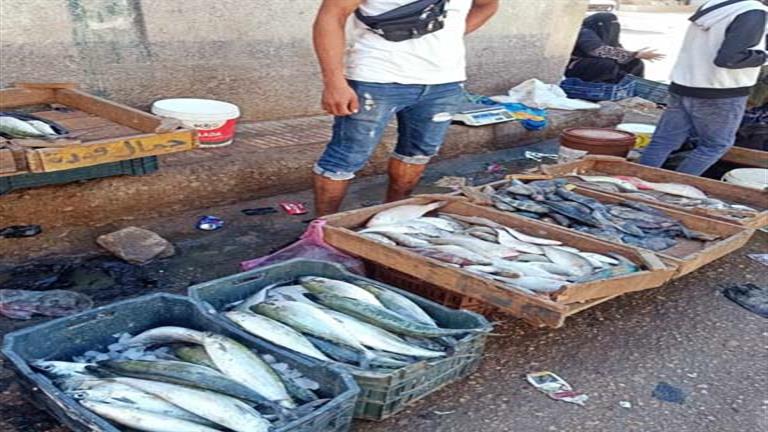 خليه يعفن.. ماذا فعلت المقاطعة في أسعار الأسماك بجنوب سيناء؟