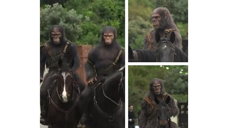 "قرود" تمتطي أحصنة في شوارع كاليفورنيا ترويجًا لفيلم "Kingdom of the Planet of the Apes" (صور)
