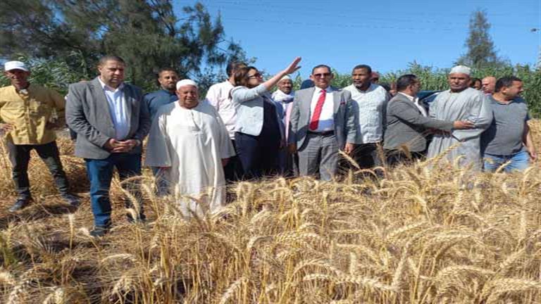 بالصور.. نائب محافظ البحيرة تتابع حصاد محصول القمح بقرية نديبة 